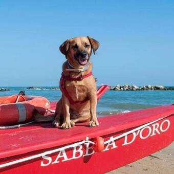 Apartamento Sweet Holiday