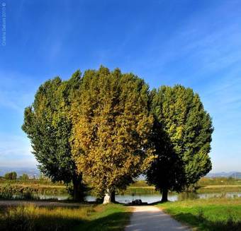 Hostal Andreoli & Miglioranzi