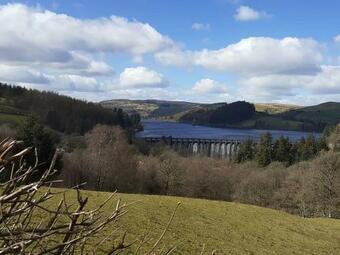 Fron Heulog Holiday Cottage