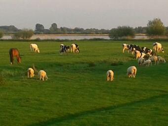 Apartamento App Mit Eigener Sauna, Ruhig Und Idyllisch