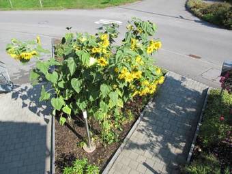 Bed And Breakfast Oase Im Seetal