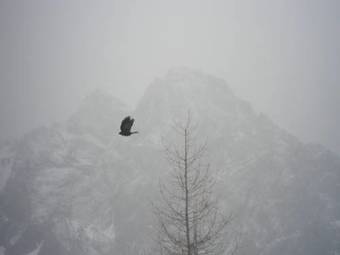 Hotel Albergo Centrale
