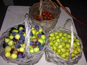 B&B Finestre Tra Gli Ulivi