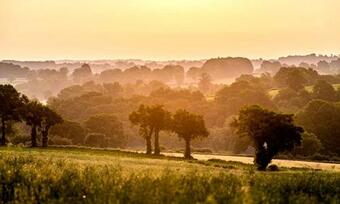 Chambres - Maison Victorienne