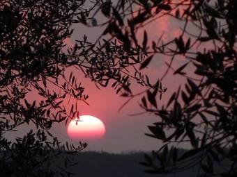 Agroturismo Fattoria Di Camporomano