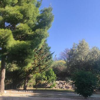 Villa Casaleno Gite Le Loriot