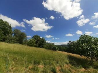 Tiny House With Mountain View