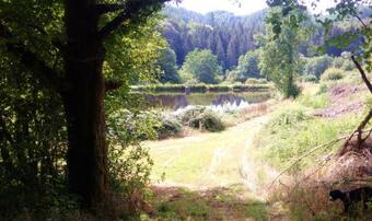 Bed & Breakfast Le Massitrou