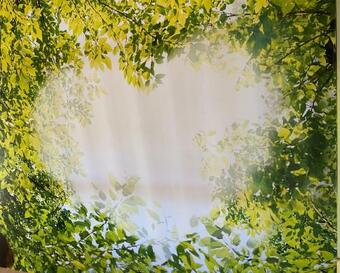 G�te Chalet 11 Personnes Hautes Vosges