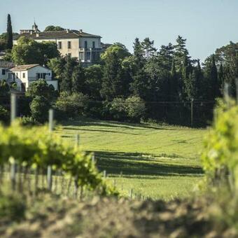 Domaine De Puechredon