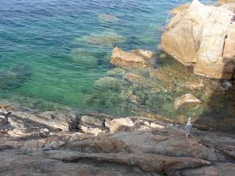 Hotel Poggio Bertino