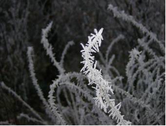 Bed & Breakfast Il Giardino Delle Farfalle