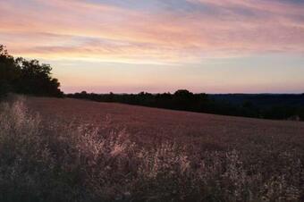 Apartamento G�te Quercy Blanc Jolie Vue - Balades � Cheval