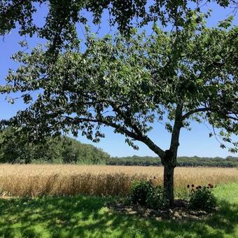 G�te Entre Loire Et Campagne