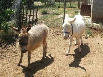 Hostal La Casa Nella Prateria