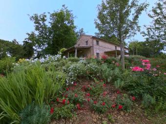 Holiday Home Colline Di Bartolo Corinaldo