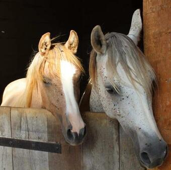 Bed & Breakfast �curies De Larami�re