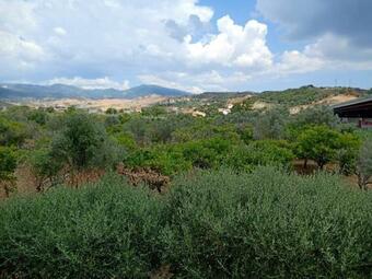 Hostal Serfem Lab Hall & Rooms