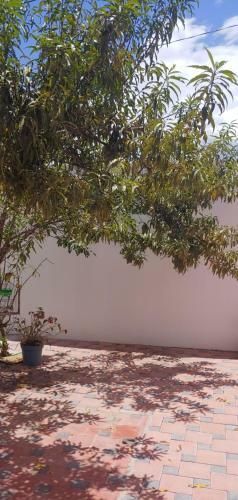 Apartamento La Casita