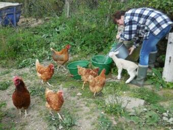 Bed & Breakfast Sans Parure : Chambre D'h�te