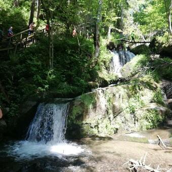Hochleben-chalets Am Erlebnisbauernhof Steinerhof