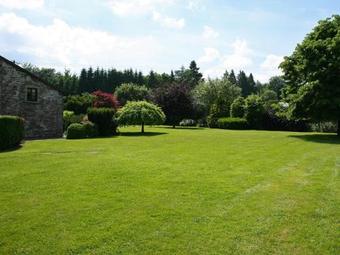 Les Camomilles En Fagne Fleurie