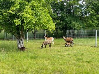 Hotel R�?ane Wzg�rze