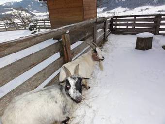 Agroturismo N�glhof