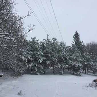 Villa ??? ??? ?????? ? ????