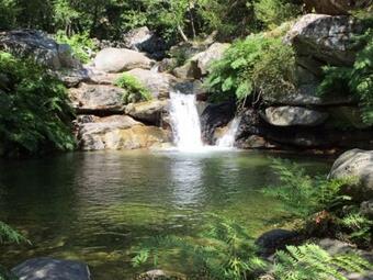 Suartone Di Fium'orbu