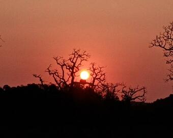 Bed & Breakfast Posada El Campo