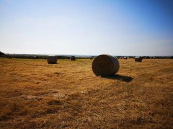 Maison Entre Campagne Et Mer
