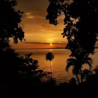 Apartamento Contemporary Ocean And Garden- View Studio