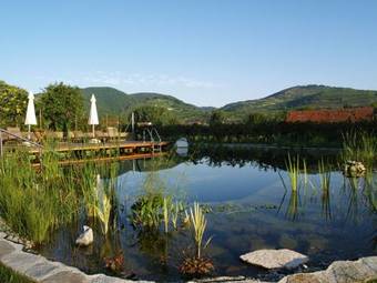 Ad Vineas G�stehaus Nikolaihof-hotel Garni