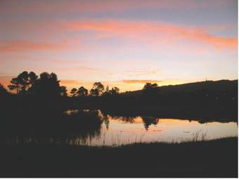 Boschenmeer Estate Lodge