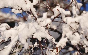 Holiday Home Hans Petters G�rd Kn�red