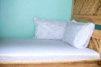 Bed & Breakfast Avocado Tree House