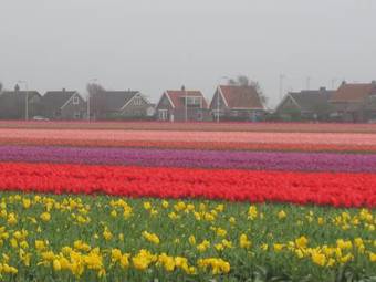 Recreatie Bungalow Eureka