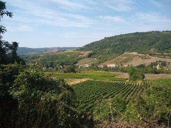 Apartamento Le Grand Carnot