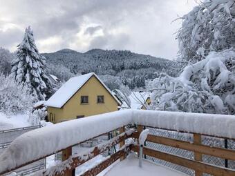 G�te Exceptionnel A Soultzbach Les Bains