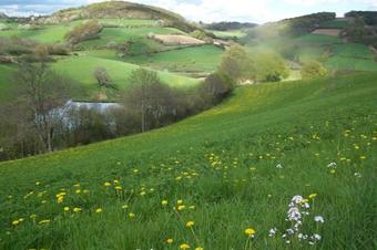 Bed & Breakfast La Ferme Du Thiollet