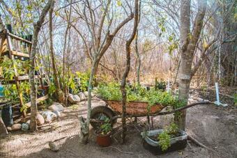 Lodge New Ruins Off-the-grid Superadobe Domes With Pool
