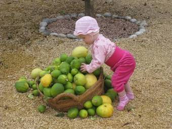 Holiday Home Carrer Fenoll