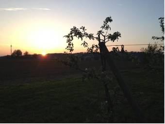 Agroturismo Landhotel Hofgut-schellenberg