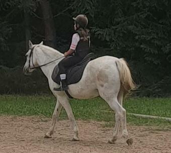 Domek Letniskowy I?y K/urli