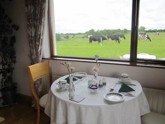 Agroturismo Greenfields Farmhouse