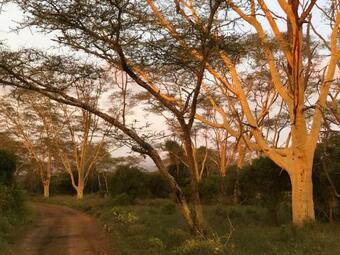 Bed & Breakfast Msunduze River Lodge