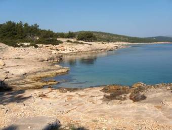 Hostal Guest House Roza