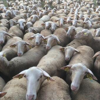 Maison � La Campagne Salles La Source Aveyron