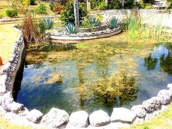 Villa Charming Countryside Chalet